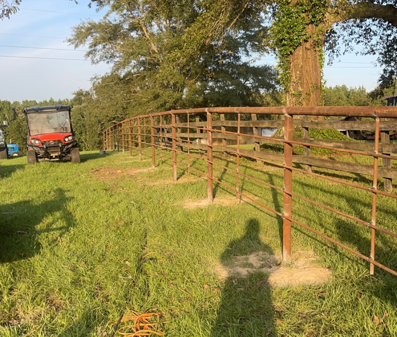 Custom Metal Gates and Fencing - Image 2