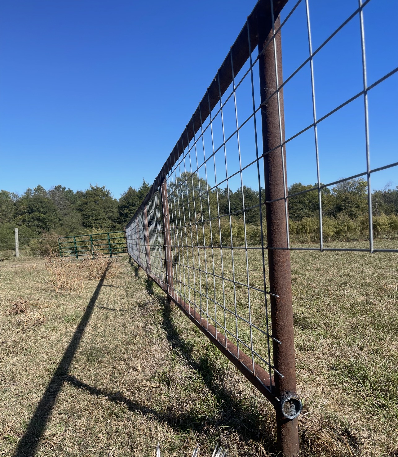Custom Metal Gates and Fencing - Image 6