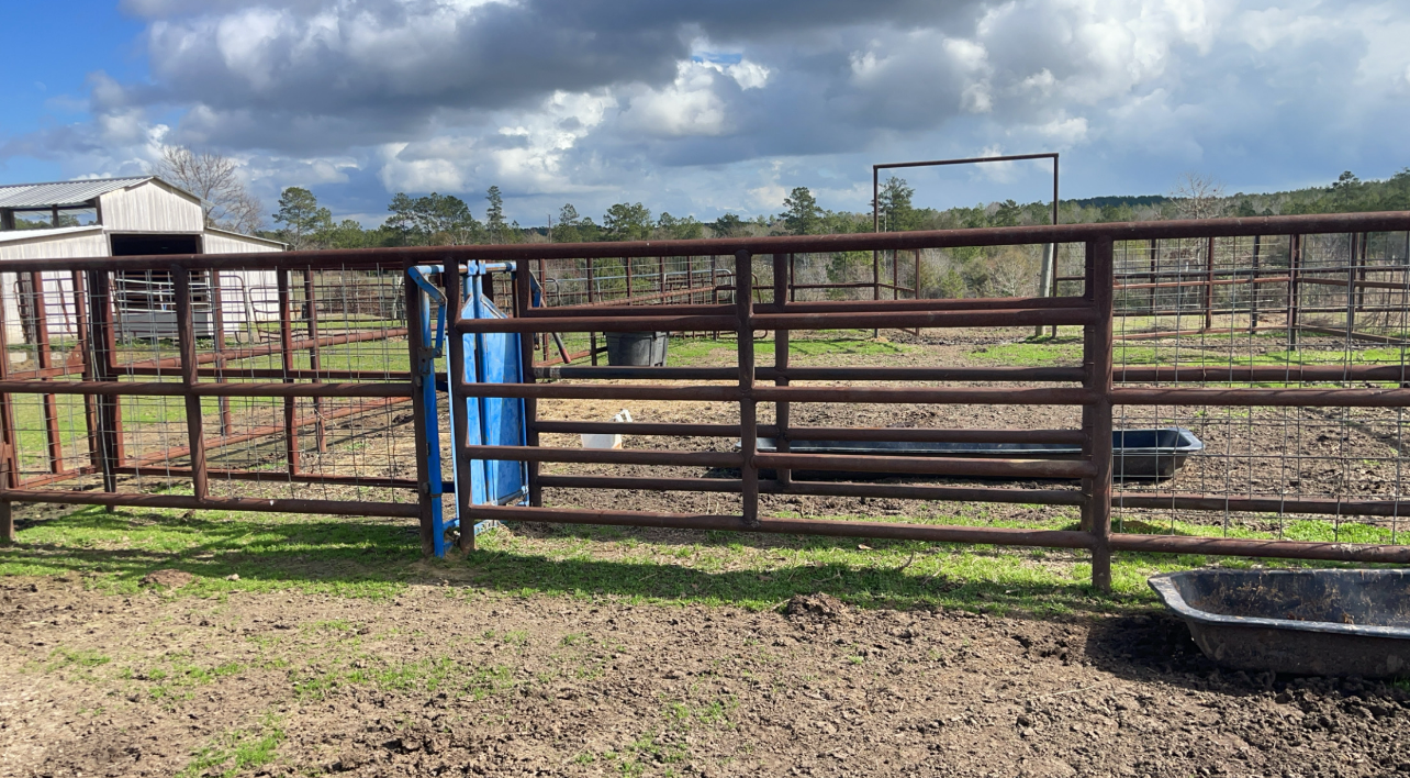 Custom Metal Gates and Fencing - Image 4
