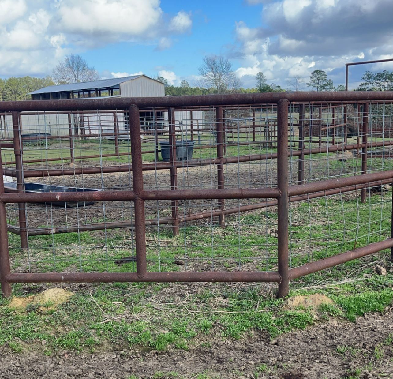 Custom Metal Gates and Fencing - Image 7